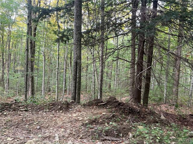 Stramba Road, Freetown, NY 13040