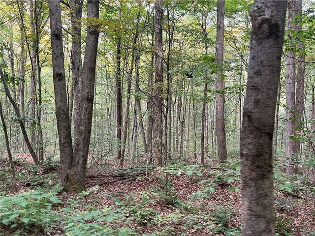 Stramba Road, Freetown, NY 13040