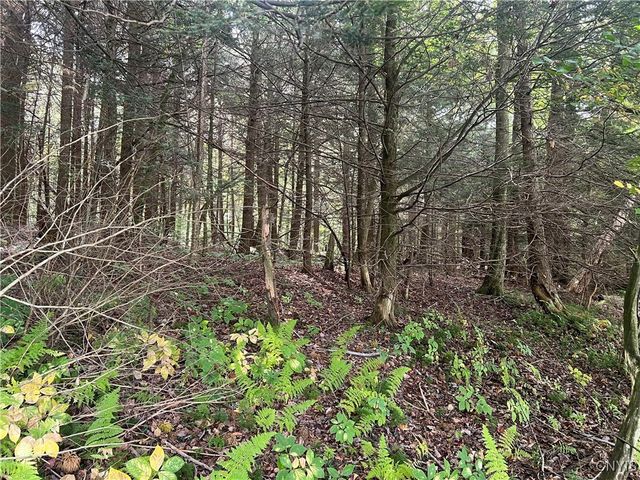 Stramba Road, Freetown, NY 13040