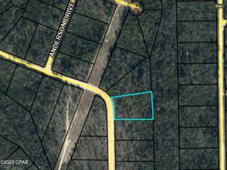 0000 Ocala Drive, Alford, FL 32420