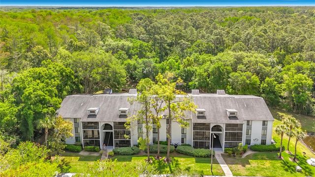 1372 PINE RIDGE CIRCLE E H3, Tarpon Springs, FL 34688