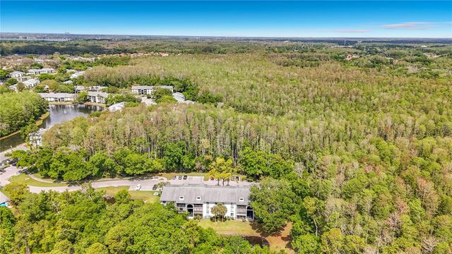 1372 PINE RIDGE CIRCLE E H3, Tarpon Springs, FL 34688