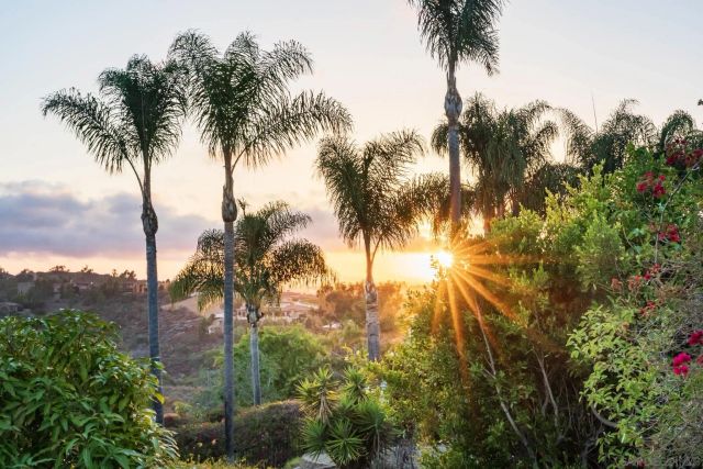 6171 Avenida Del Duque, Rancho Santa Fe, CA 92067