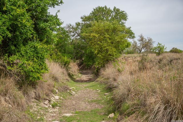395 Bluff Creek, Center Point, TX 78010
