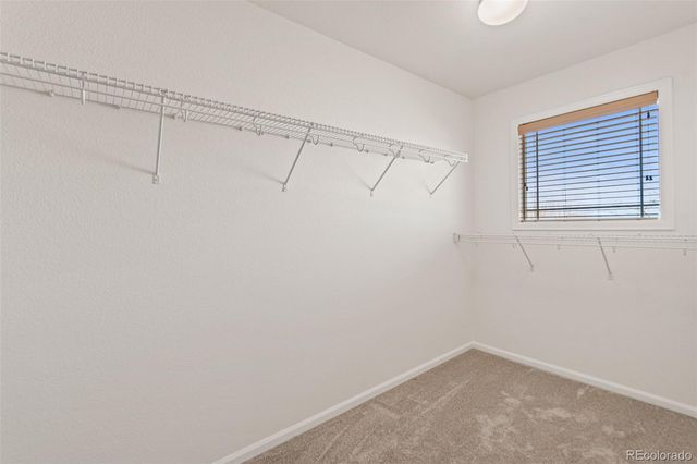 2908 Open Sky Way, Castle Rock, CO 80109