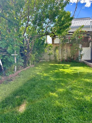 647 D Street, Salida, CO 81201