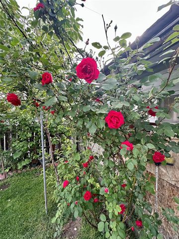 647 D Street, Salida, CO 81201