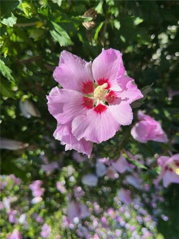 2 Hamilton Road, Perinton, NY 14450