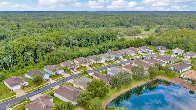11240 MERGANSER WAY, New Port Richey, FL 34654