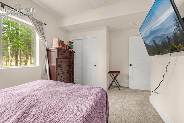 114 Homestead Lane, Florissant, CO 80816