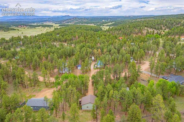 114 Homestead Lane, Florissant, CO 80816