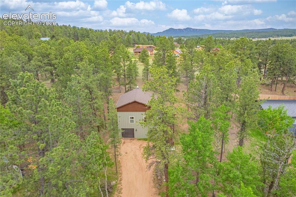 114 Homestead Lane, Florissant, CO 80816 — photo 3