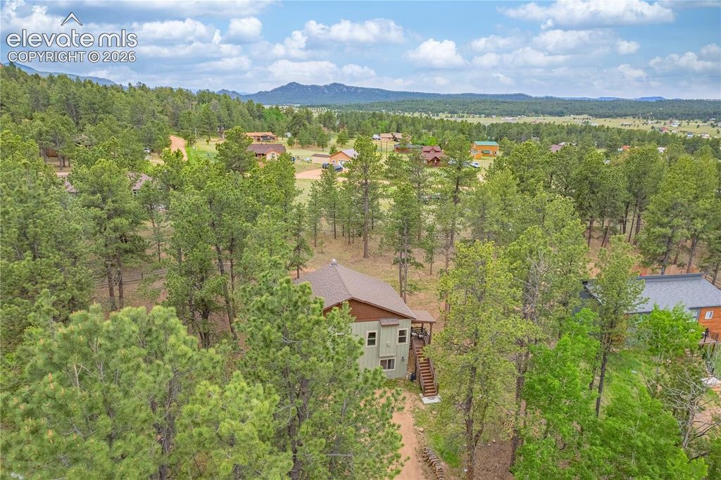 114 Homestead Lane, Florissant, CO 80816 — photo 5
