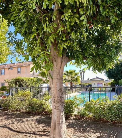9315 Burnet Avenue 113, North Hills, CA 91343