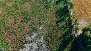 Tbd Cove Road, Hertford, NC 27944