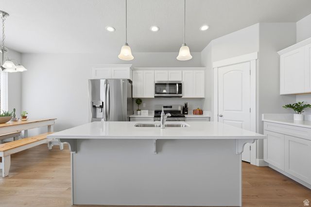 1007 N LEDGER DR, Saratoga Springs, UT 84045