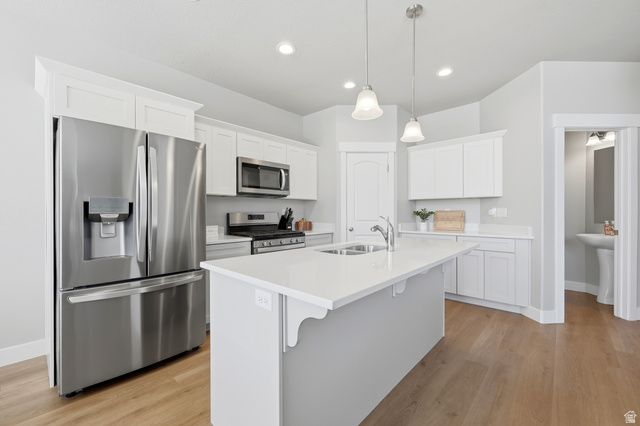 1007 N LEDGER DR, Saratoga Springs, UT 84045