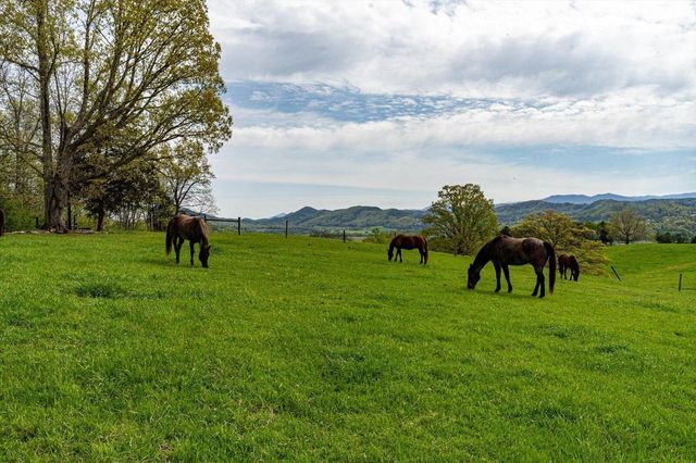 180 Mecca Pike, Tellico Plains, TN 37385