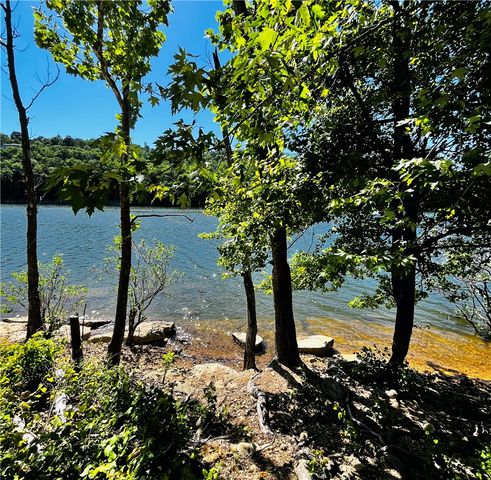 Clover Lane, Holiday Island, AR 72631