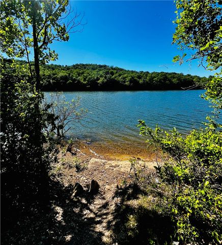 Clover Lane, Holiday Island, AR 72631