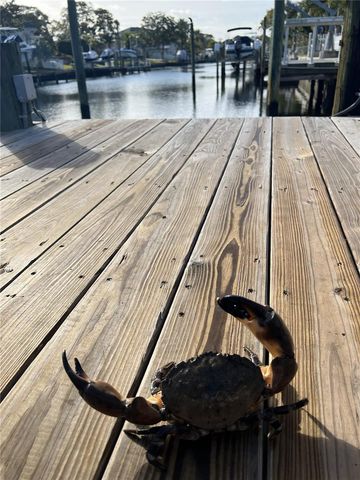 303 MORNINGSIDE DRIVE, Palm Harbor, FL 34683