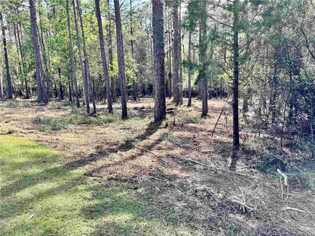 0 Steelwood Ridge Road, Loxley, AL 36551