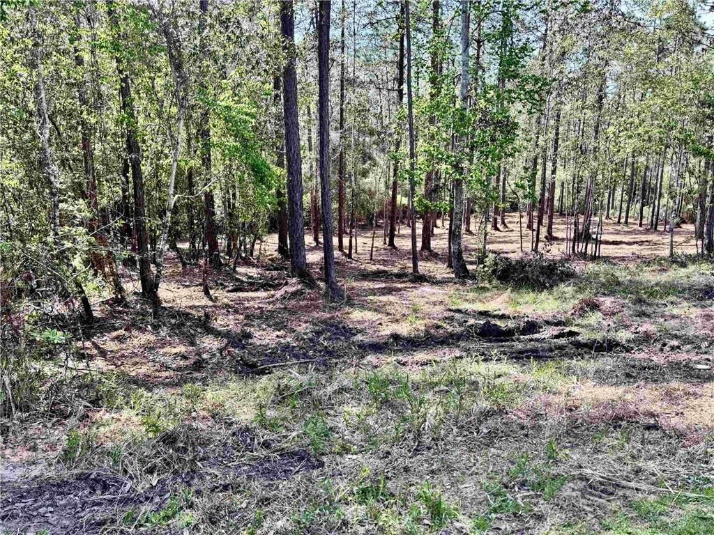 0 Steelwood Ridge Road, Loxley, AL 36551 — photo 3