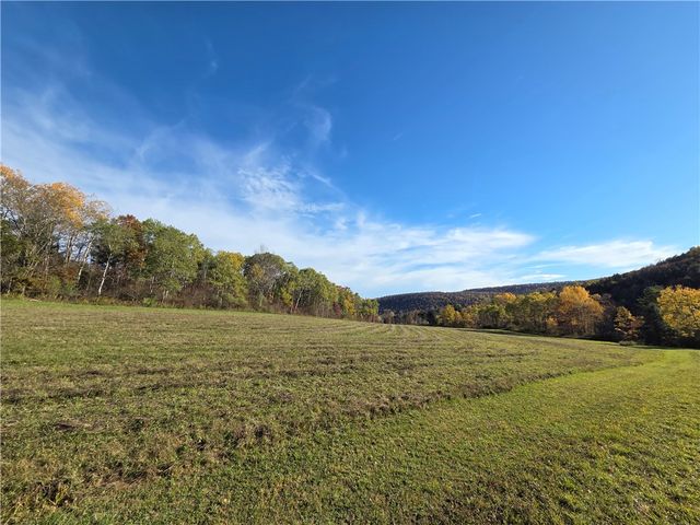 147 Clark Hollow Road, Southport, NY 14871