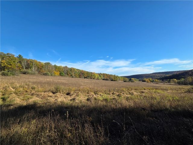 147 Clark Hollow Road, Southport, NY 14871