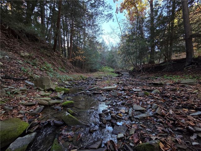 147 Clark Hollow Road, Southport, NY 14871