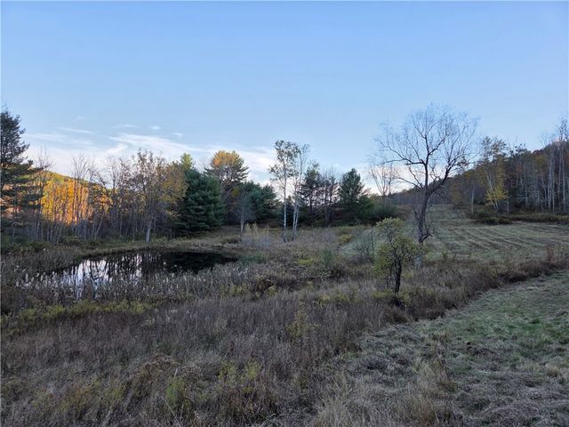 147 Clark Hollow Road, Southport, NY 14871
