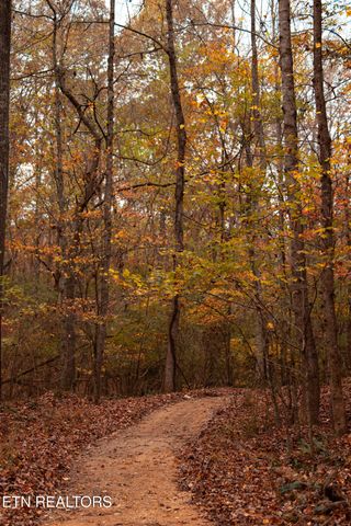 104 Azalea Lane, Loudon, TN 37774