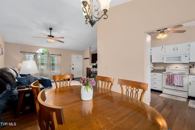 253 Springview Drive, Gray, TN 37615