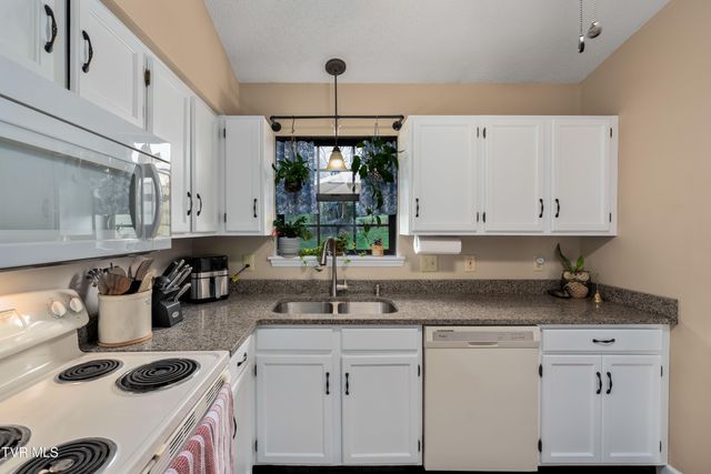 253 Springview Drive, Gray, TN 37615