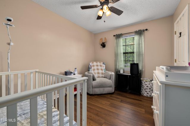 253 Springview Drive, Gray, TN 37615