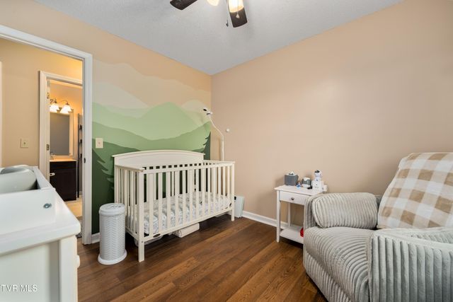 253 Springview Drive, Gray, TN 37615