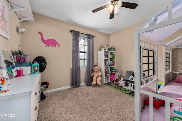 253 Springview Drive, Gray, TN 37615