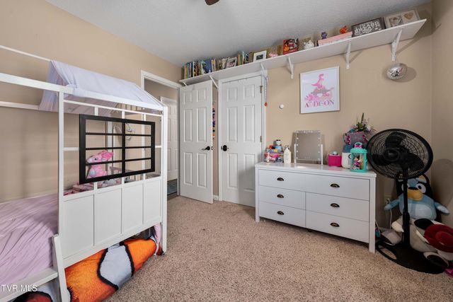 253 Springview Drive, Gray, TN 37615