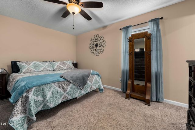 253 Springview Drive, Gray, TN 37615