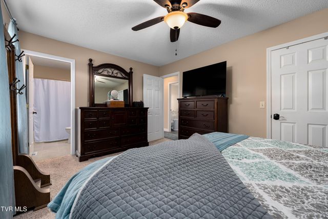 253 Springview Drive, Gray, TN 37615