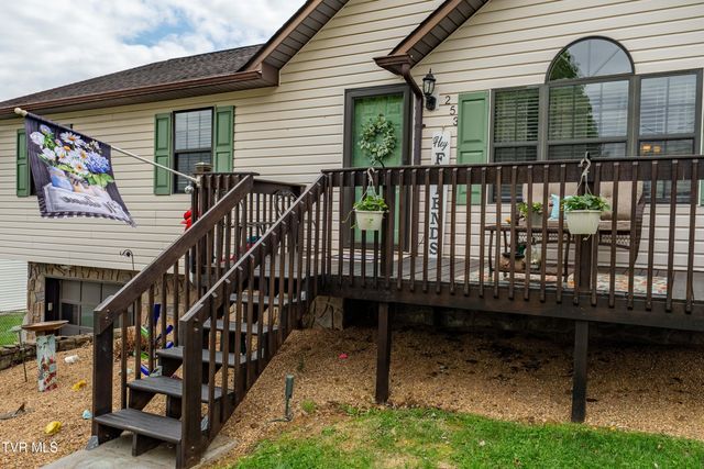 253 Springview Drive, Gray, TN 37615