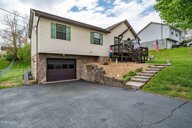 253 Springview Drive, Gray, TN 37615