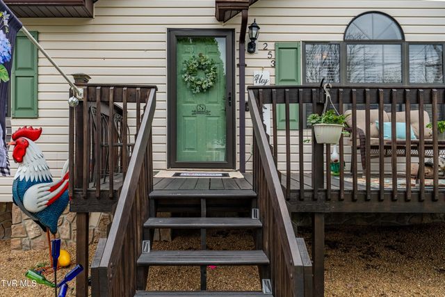 253 Springview Drive, Gray, TN 37615