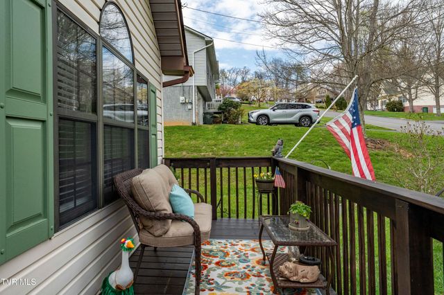 253 Springview Drive, Gray, TN 37615