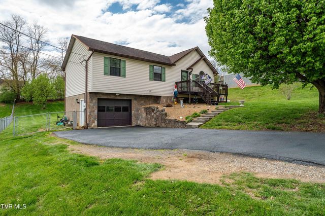253 Springview Drive, Gray, TN 37615