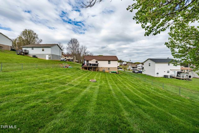 253 Springview Drive, Gray, TN 37615