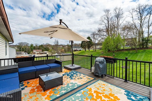 253 Springview Drive, Gray, TN 37615