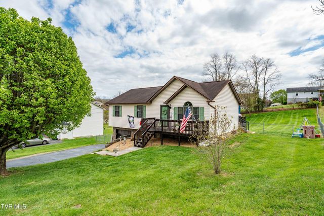 253 Springview Drive, Gray, TN 37615