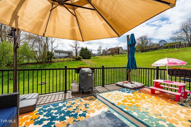 253 Springview Drive, Gray, TN 37615