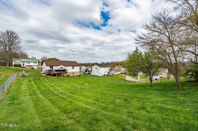 253 Springview Drive, Gray, TN 37615